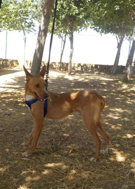 multimedia-foto35946-980-3