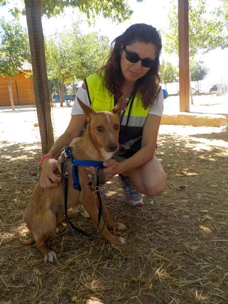 multimedia-foto35947-17-3