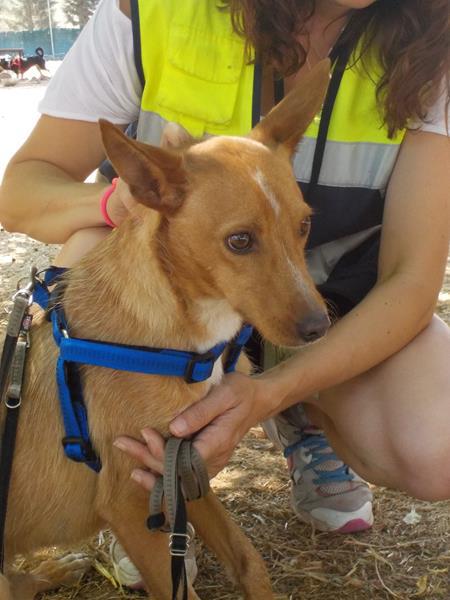 multimedia-foto35948-48-3