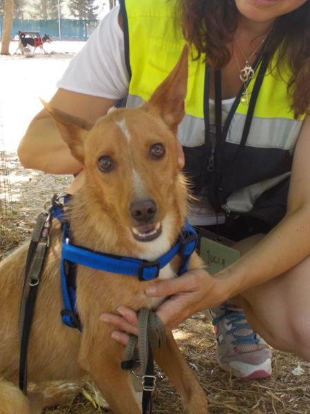 multimedia-foto35949-76-3