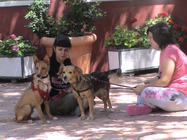 multimedia-foto35952-131-3