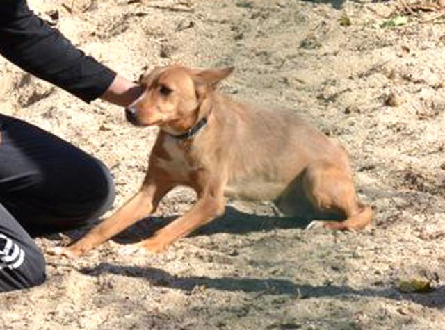 multimedia-foto35953-137-3