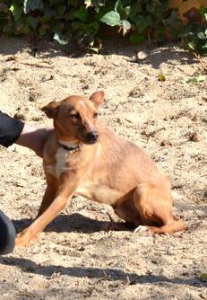 multimedia-foto35954-141-3