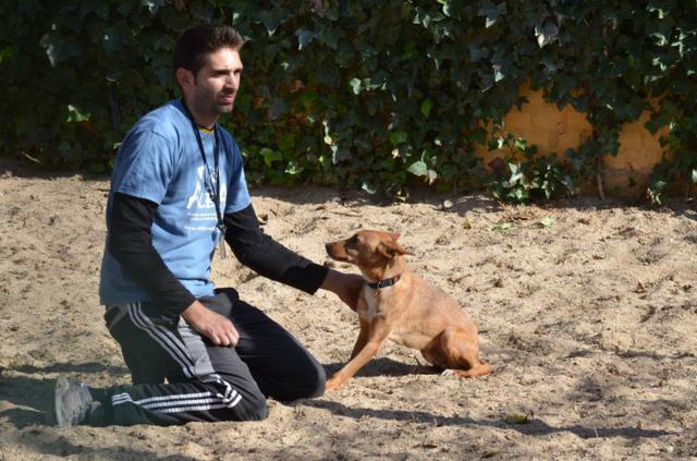 multimedia-foto35955-144-3