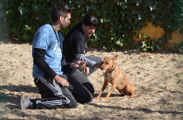 multimedia-foto35956-147-3