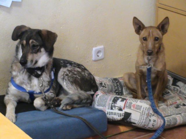 multimedia-foto35957-150-3