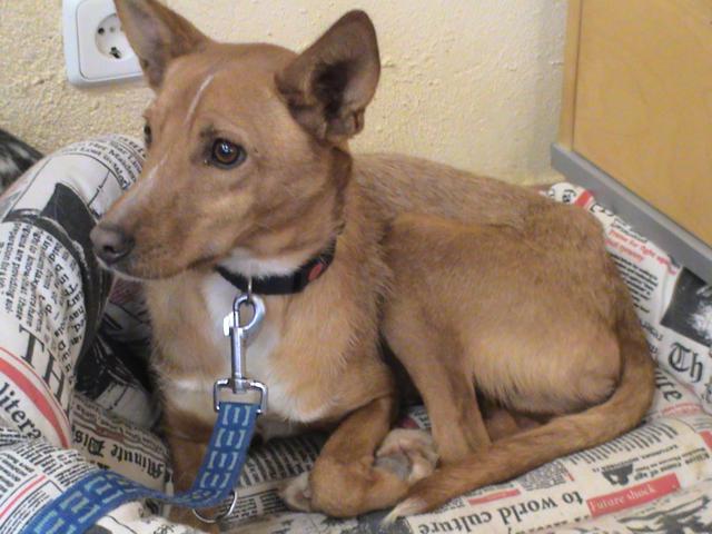 multimedia-foto35958-152-3