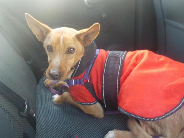 multimedia-foto35959-154-3