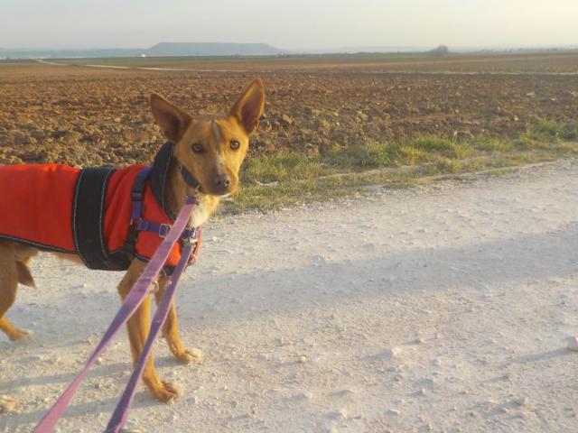 multimedia-foto35960-156-3