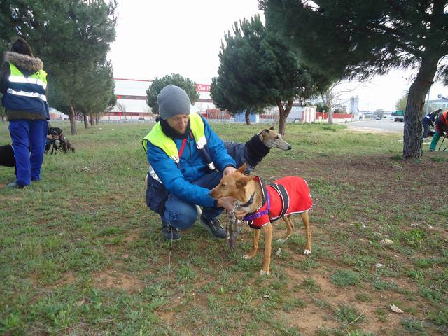 multimedia-foto35961-157-3