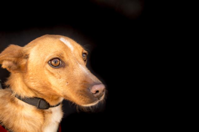 multimedia-foto35962-158-3