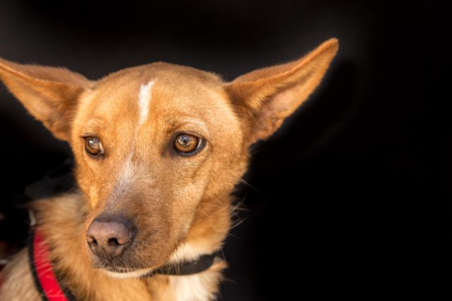 multimedia-foto35963-159-3