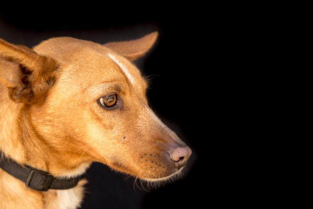 multimedia-foto35964-160-3