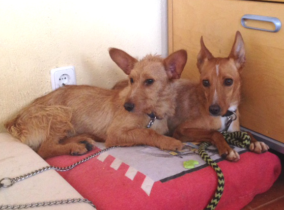 multimedia-foto35965-161-3