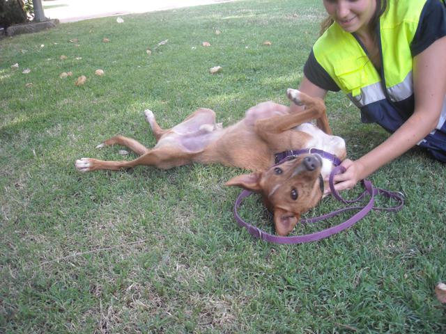 multimedia-foto35967-163-3