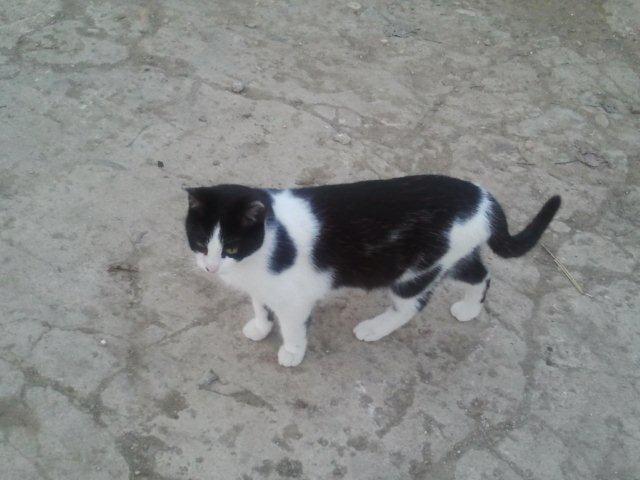 multimedia-foto35990-81-3