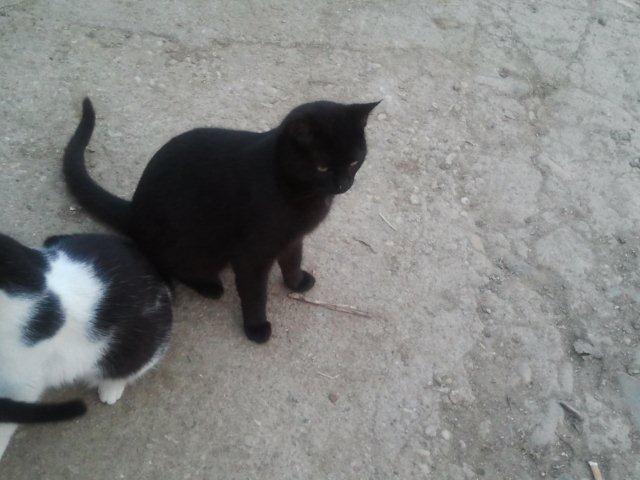 multimedia-foto35991-274-3