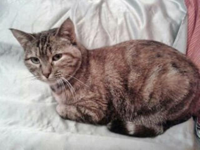 multimedia-foto35992-444-3