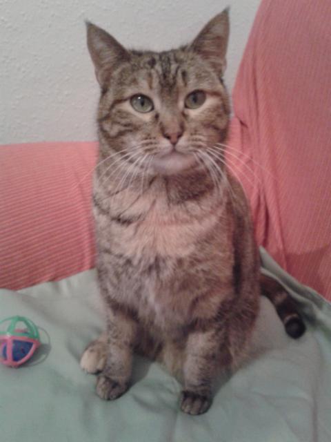 multimedia-foto35994-882-3