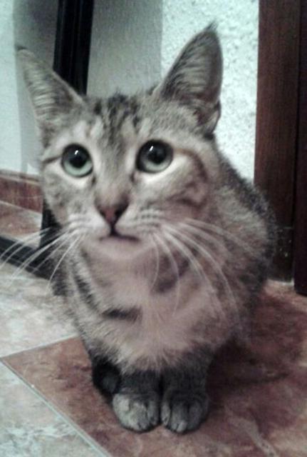 multimedia-foto35995-83-3