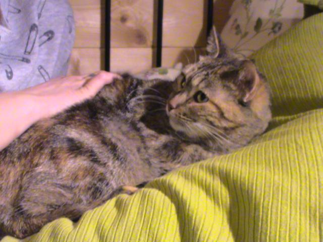 multimedia-foto35996-277-3