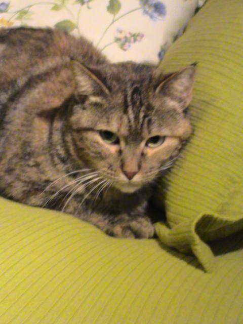 multimedia-foto36000-833-3