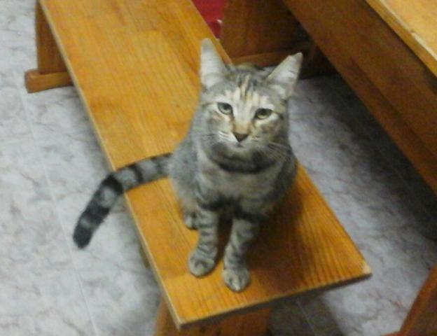 multimedia-foto36078-496-3