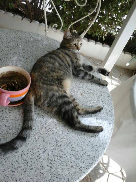 multimedia-foto36079-640-3