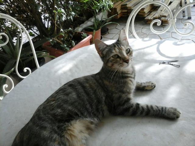 multimedia-foto36080-764-3