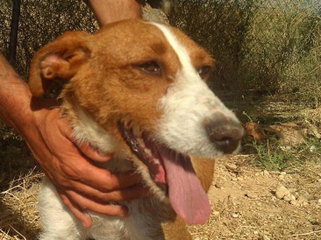 multimedia-foto36084-527-3