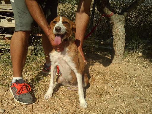 multimedia-foto36085-747-3