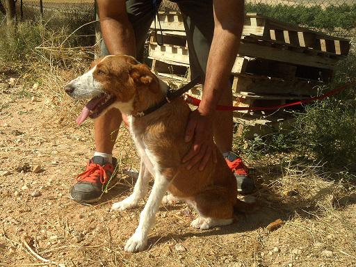 multimedia-foto36086-959-3