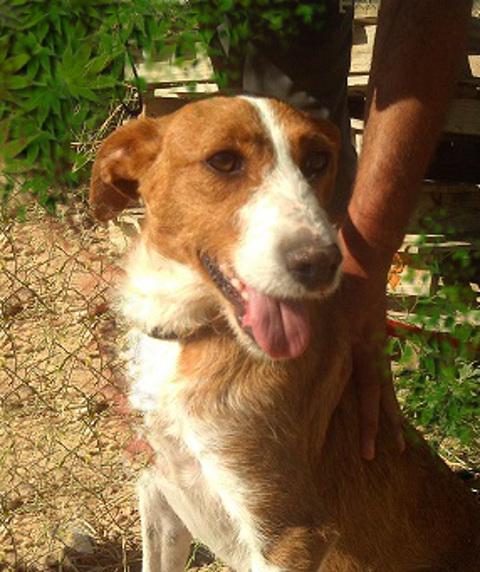 multimedia-foto36088-340-3