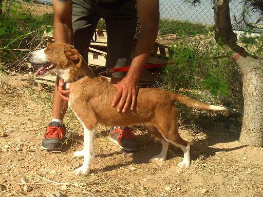 multimedia-foto36089-505-3