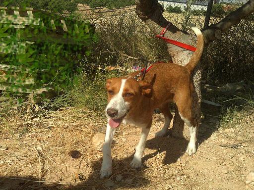 multimedia-foto36090-647-3