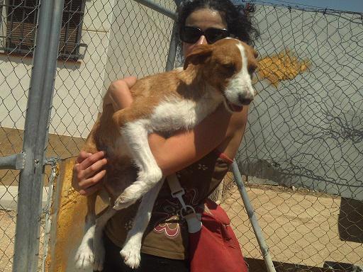 multimedia-foto36091-770-3