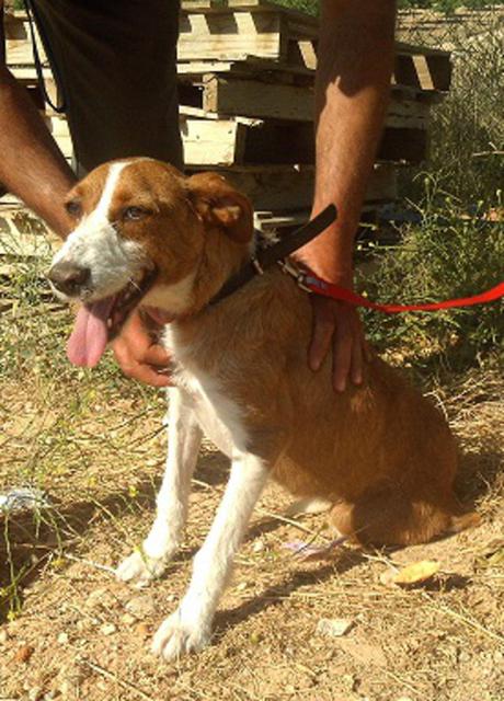 multimedia-foto36092-868-3