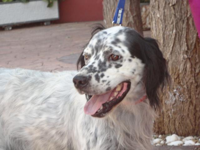 multimedia-foto36094-535-3