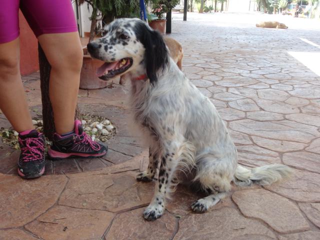 multimedia-foto36095-755-3