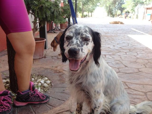 multimedia-foto36096-757-3