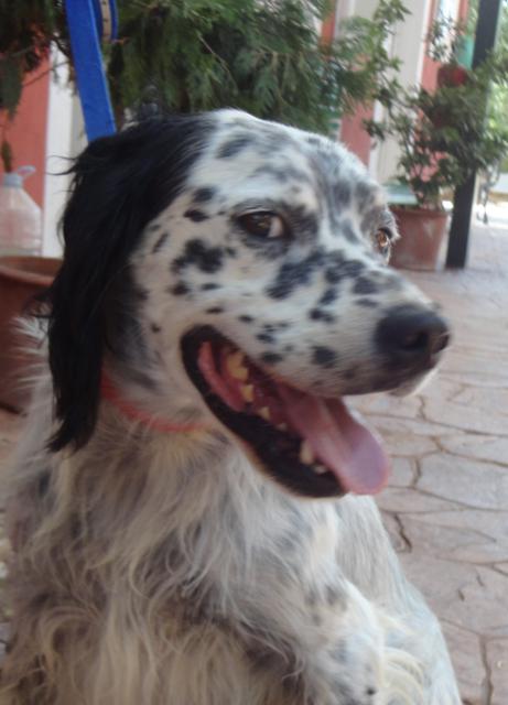 multimedia-foto36097-967-3