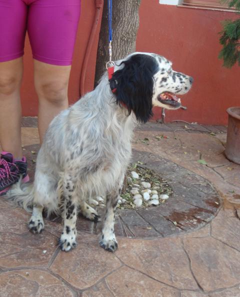 multimedia-foto36098-167-3