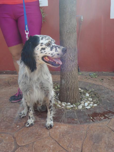 multimedia-foto36099-347-3