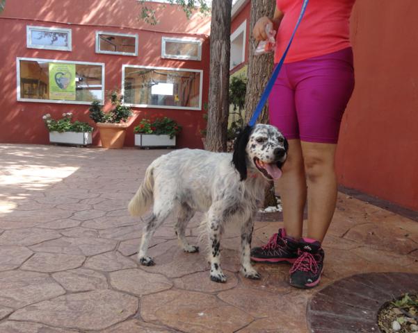 multimedia-foto36100-512-3