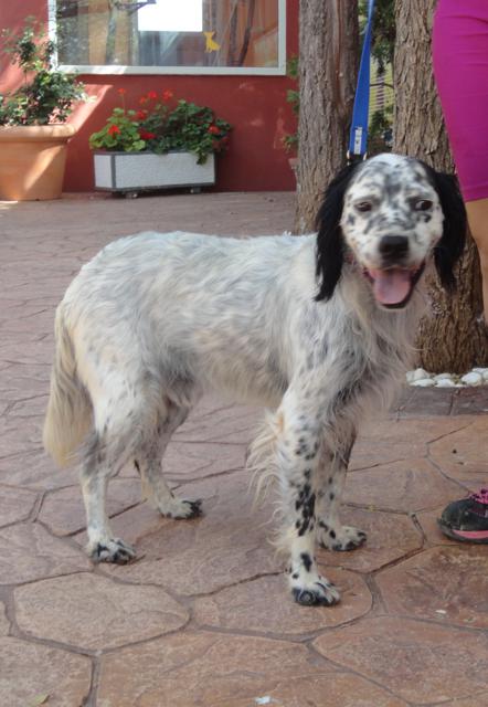 multimedia-foto36101-653-3