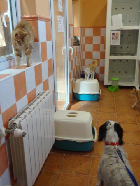 multimedia-foto36102-775-3