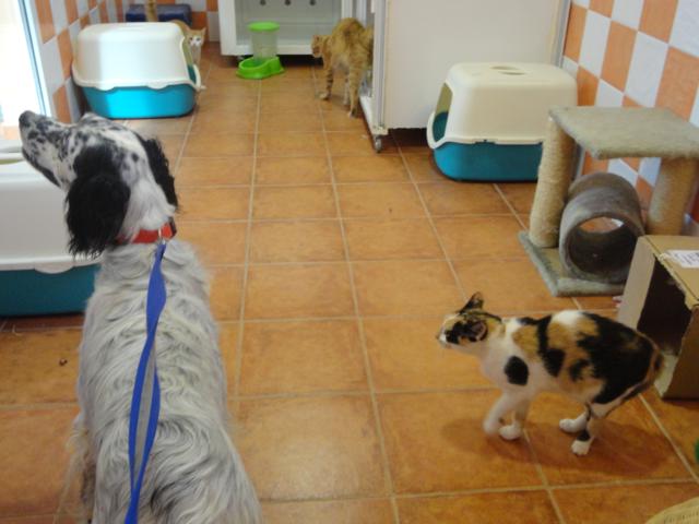 multimedia-foto36103-871-3