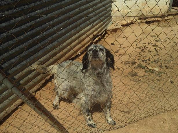 multimedia-foto36104-922-3