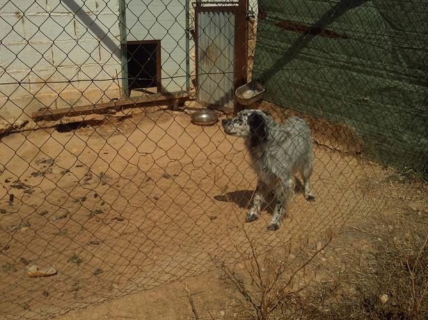 multimedia-foto36105-968-3