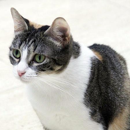 multimedia-foto36120-331-3